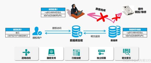 构建安全与治理并重的Java系统数据支持服务体系